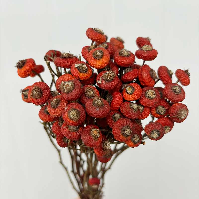 Dried Flower Bunch - 10 Pezzi/Buquet di Fiori di Rosa