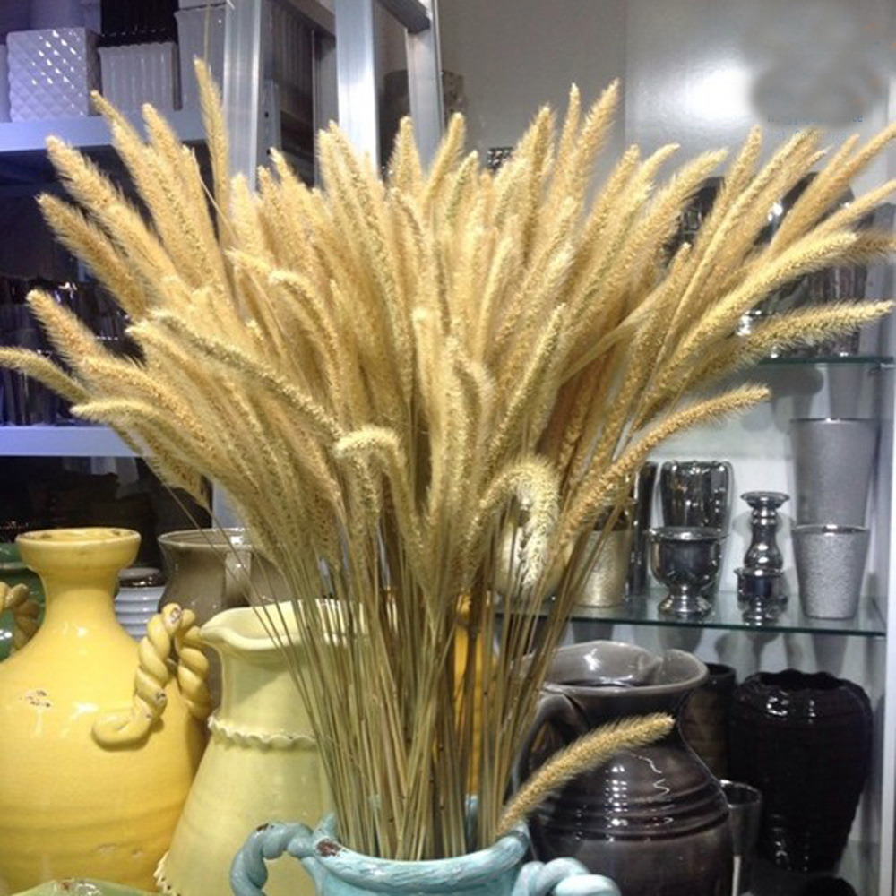 Dried Flower Bunch - 200 pz naturale essiccato Lagurus ovatus