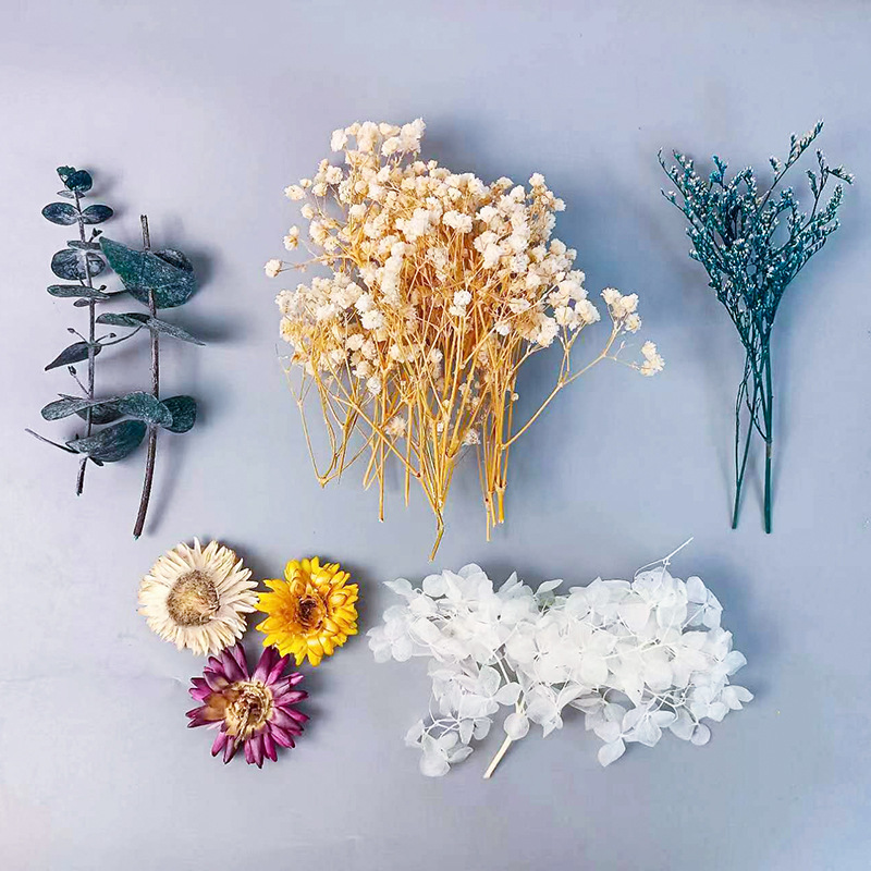 Dried Flower Bunch - 1 confezione di fiori secchi vari