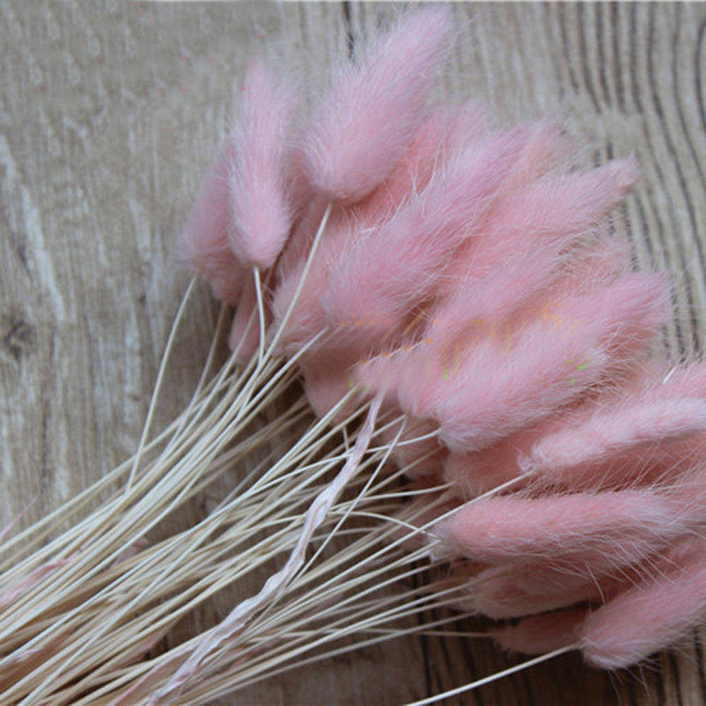 50 pz bouquet di fiori natural - Dried Flower Bunch recensione e prezzo