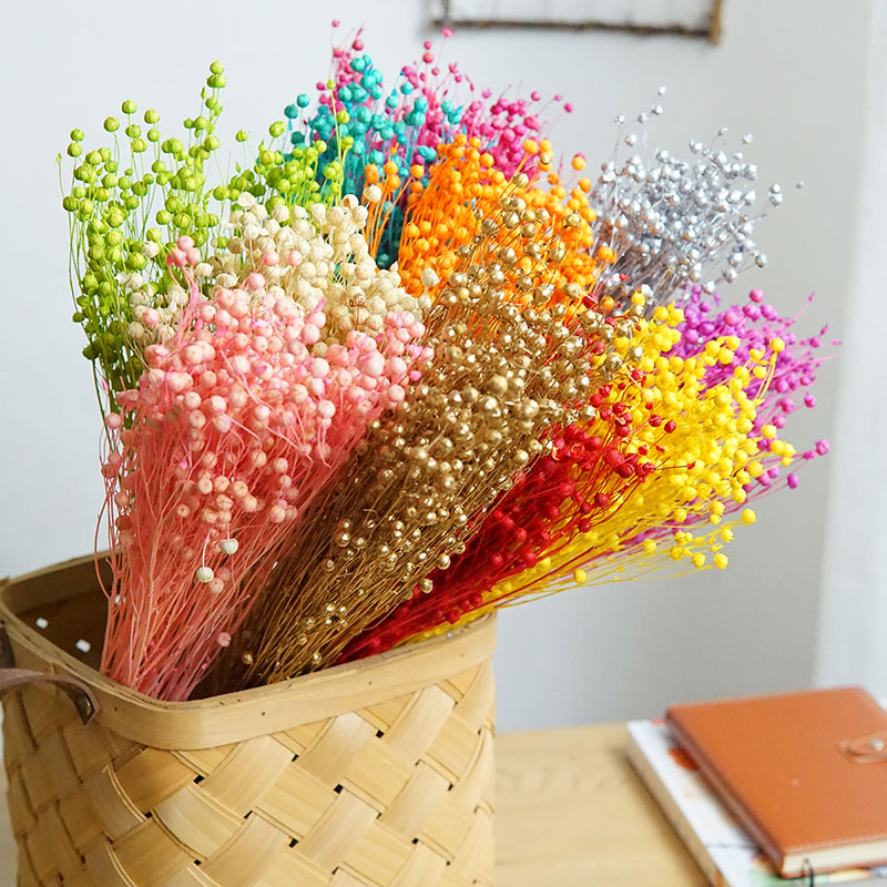 35g/Ormosia Hosiei conservato  - Dried Flower Bunch recensione e prezzo