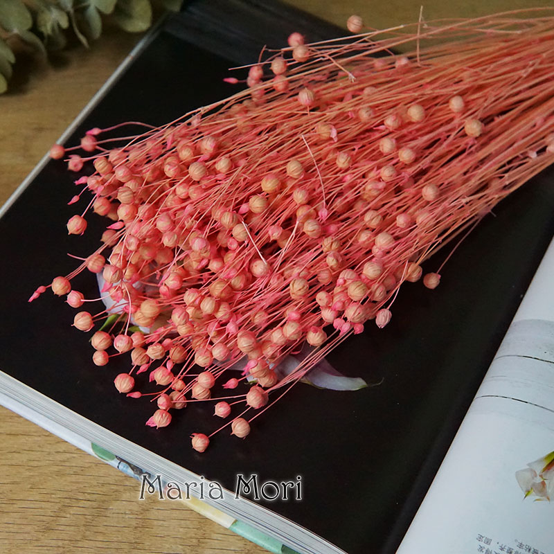 35g/Ormosia Hosiei conservato  - Dried Flower Bunch recensione e prezzo