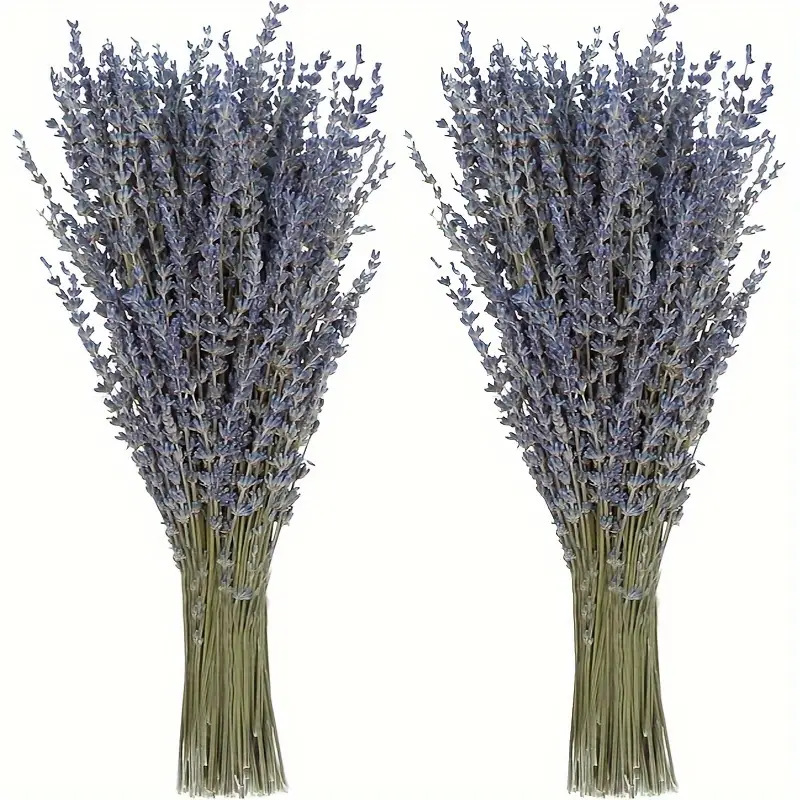 200 Pezzi/Mazzo di Fiori di La - Dried Flower Bunch recensione e prezzo