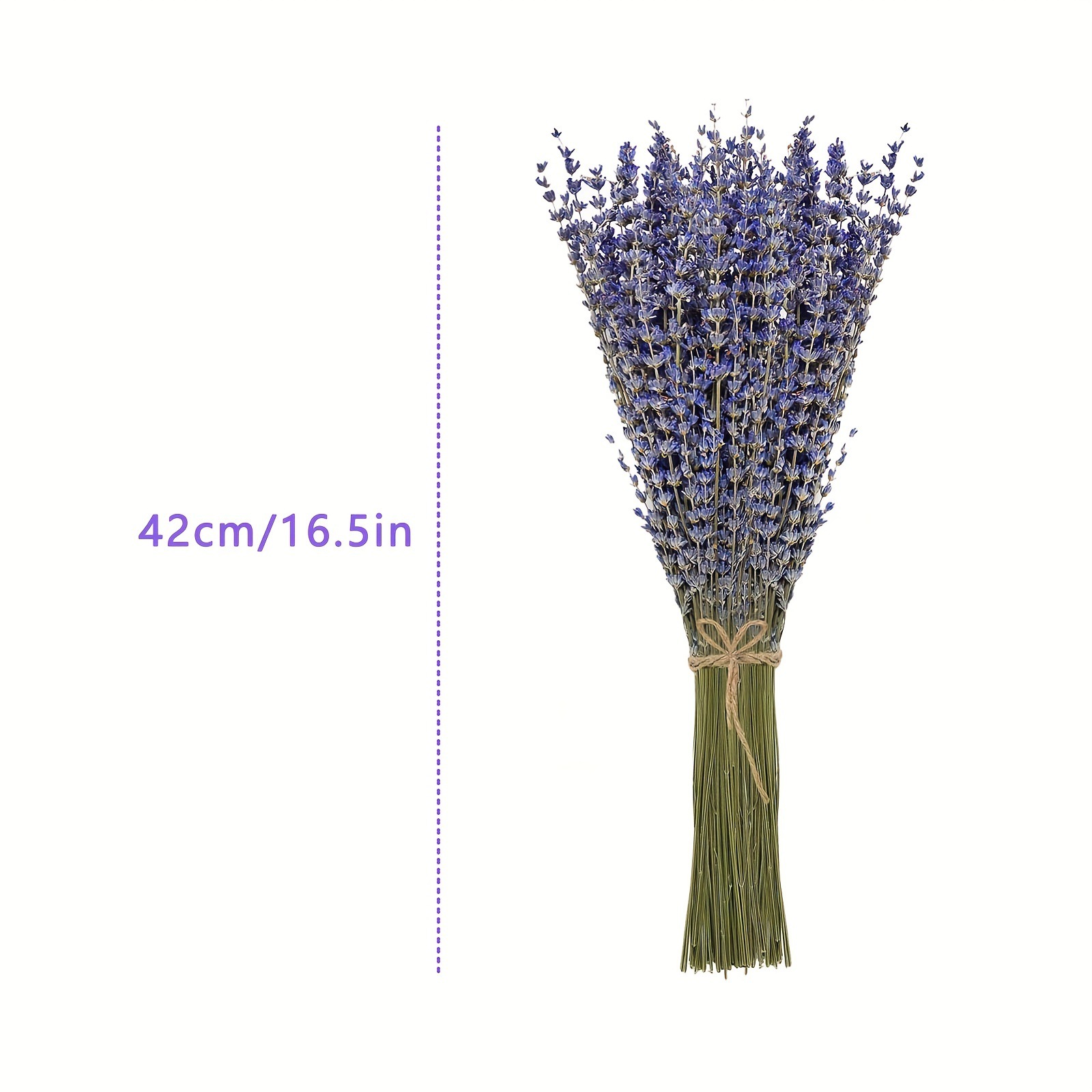 200 Pezzi/Mazzo di Fiori di La - Dried Flower Bunch recensione e prezzo