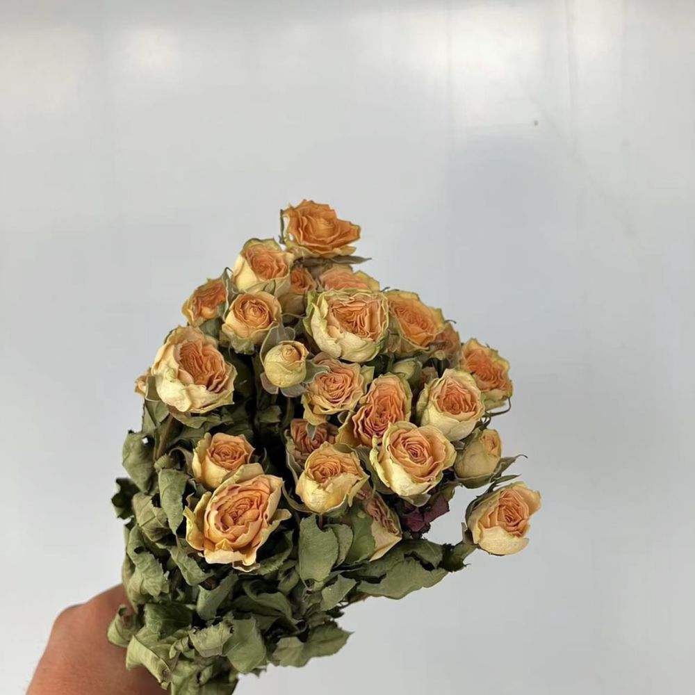 Mazzo di rose naturali stabili - Dried Flower Bunch recensione e prezzo
