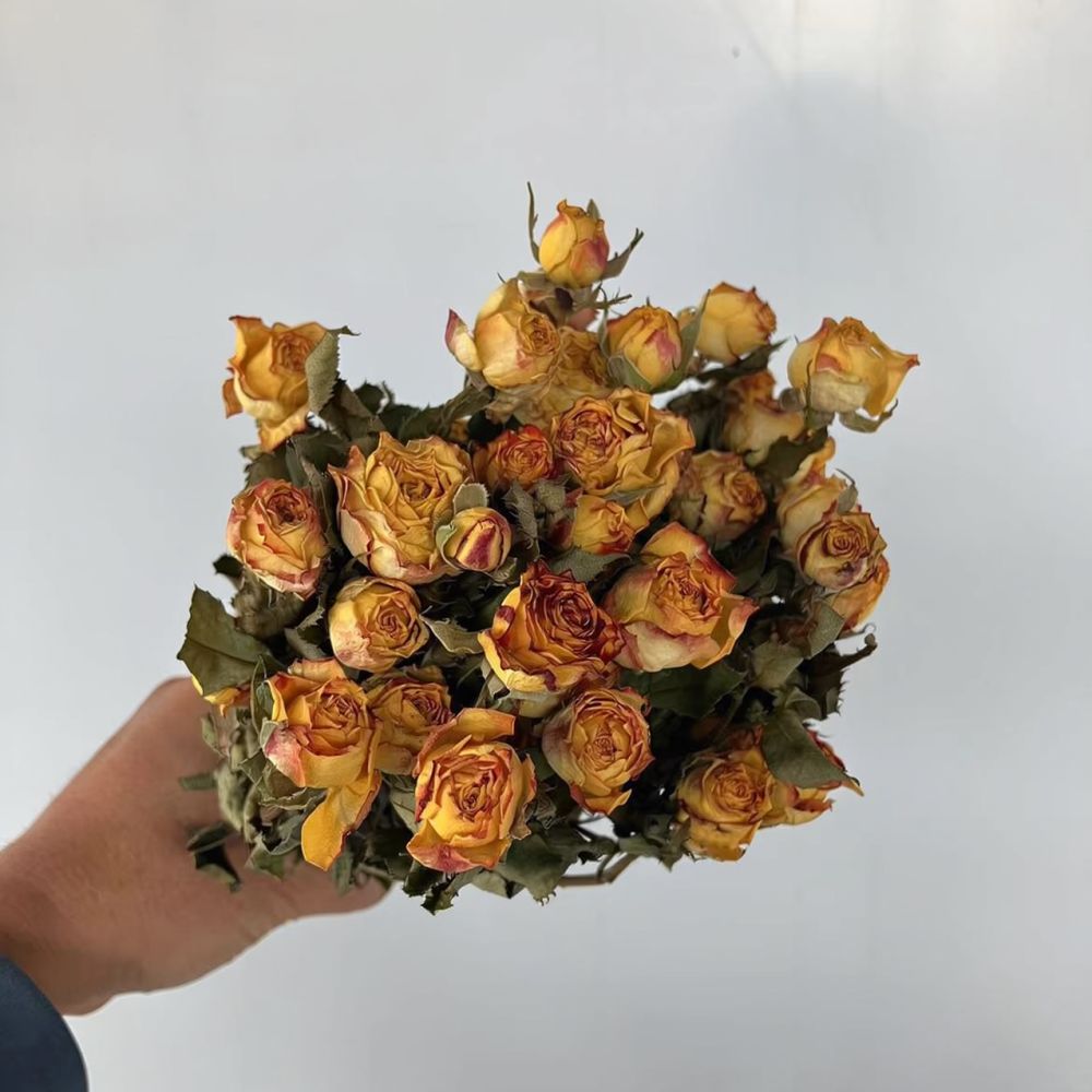 Mazzo di rose naturali stabili - Dried Flower Bunch recensione e prezzo