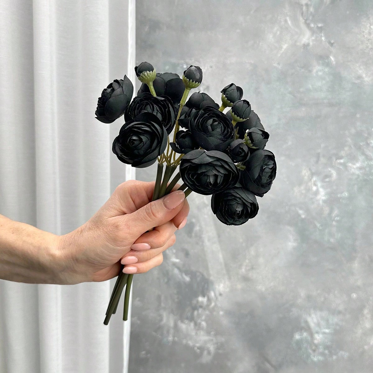 Mini Ranunculus nero fiore di  - Dried Flower Bunch recensione e prezzo
