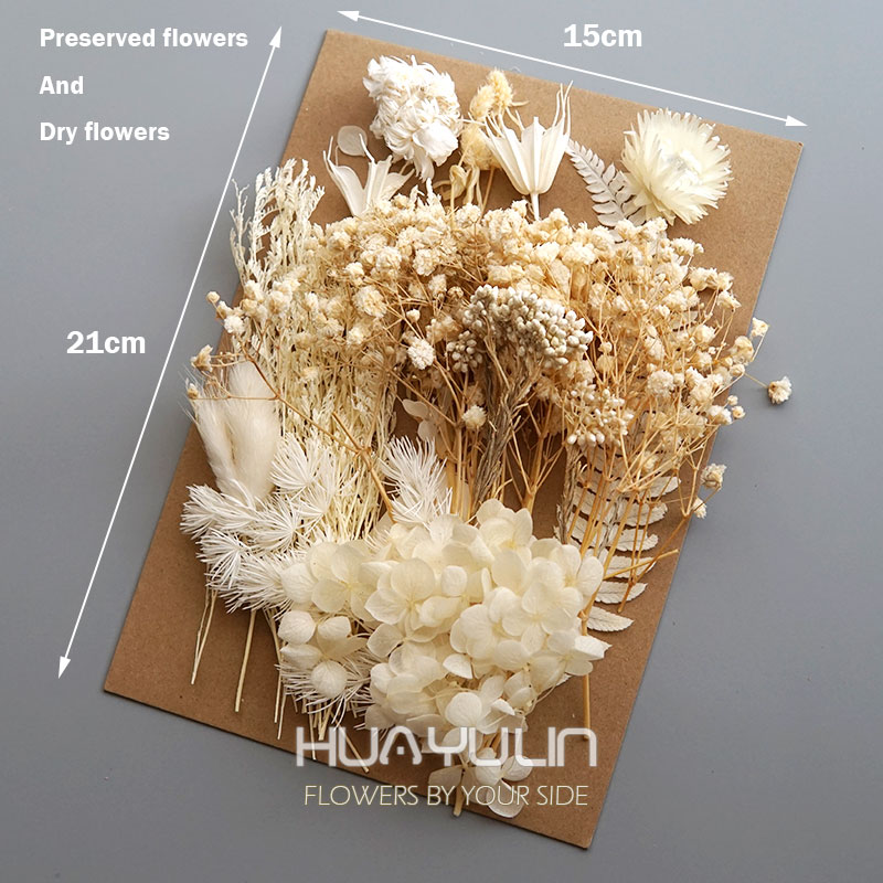1 confezione di piante artific - Dried Flower Bunch recensione e prezzo